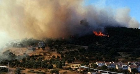 Dikili'de orman yangını -3