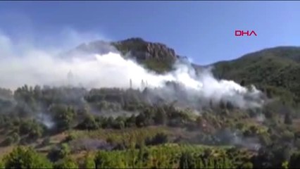 Orman yangınına karadan ve havadan müdahale