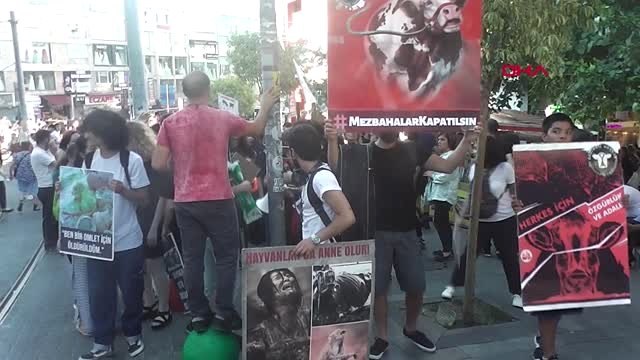 İSTANBUL-KADIKÖY'DE 'MEZBAHALAR KAPATILSIN' EYLEMİ