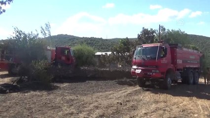 Arazi yangını ahıra sıçradı, 53 koyun telef oldu