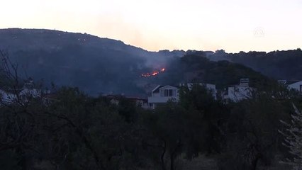 Dikili'de orman yangını (2)