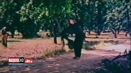 saima+momar rana-jind vech ke main