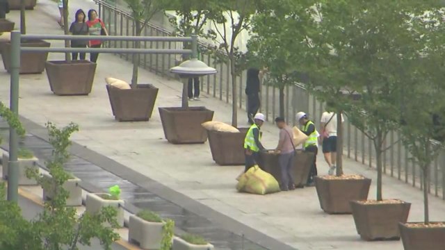 서울시, '3차 천막 방지' 대형화분 80여 개 광화문 광장에 설치 / YTN