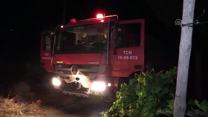 Adana'da ev yangını: 1 ölü