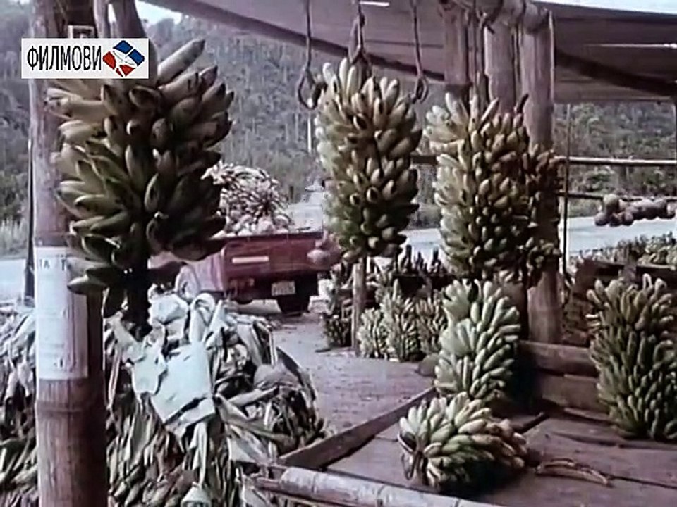 Sa svih meridijana: Ekvador /1984/ Са свих меридијана: Еквадор