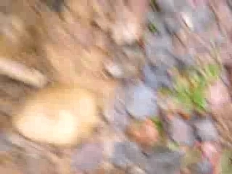 IMGP0009