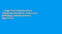 Large Print Address Book: Telephone Numbers, Addresses Birthdays, Emails & Notes: Big Print &