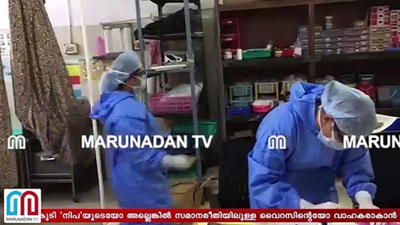 About nipah virus