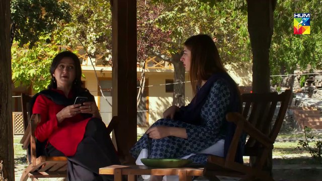 Anaa Episode #20 HUM TV Drama 30 June 2019