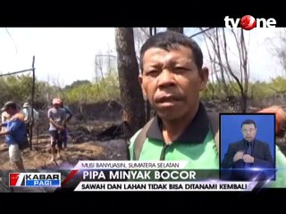Pipa Minyak Bocor Genangi Ribuan Hektar Sawah dan Kebun