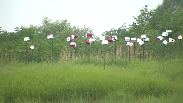[날씨] 중부 무더위, 남부 비...내일 더위 계속 / YTN