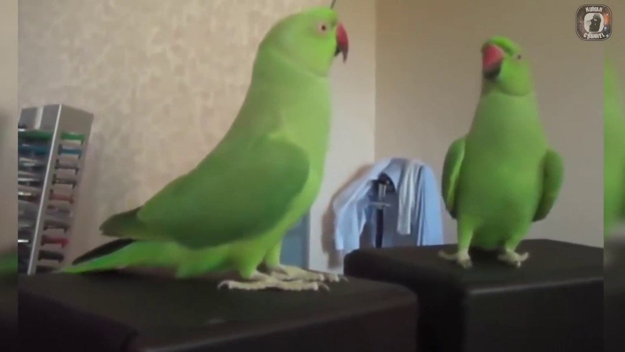 初めてのカガミにパニックする動