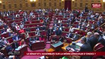 Invitée : Marie-Pierre de La Gontrie - Territoire Sénat (01/07/2019)