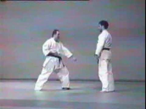 Nihon-Tai-jitsu
