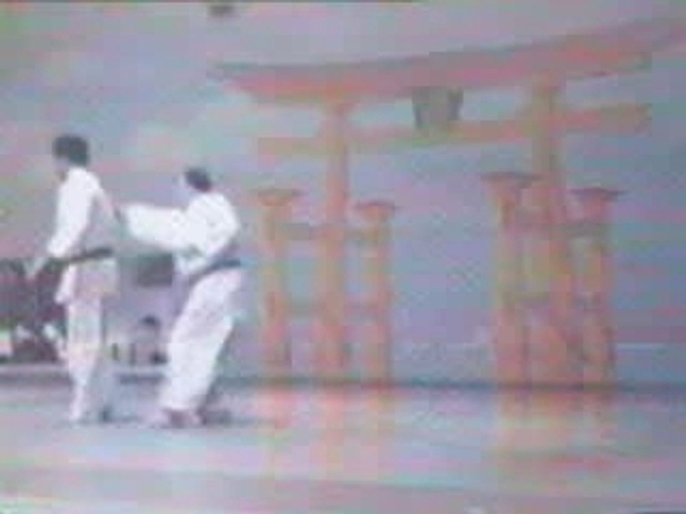 Nihon-Tai-jitsu