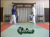 Nihon-Tai-Jitsu