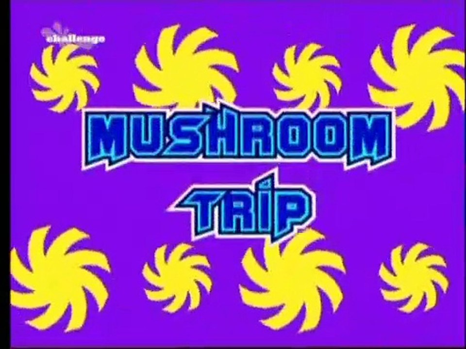 Mushroom Trip