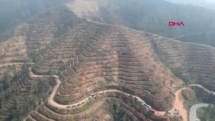 TRABZON Çamburnu Tabiat Parkı ormanından iyi haber