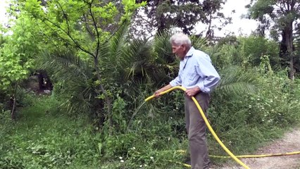Yıllarca emek verip kıraç alanı 'botanik park' yaptı - SAMSUN