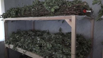 Evinin boş odası 42 günde 3,500 TL kazandırdı