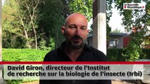 VIDEO. Dégustation d'insectes : l'avenir du tourisme en Touraine ?