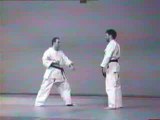 Nihon-Tai-Jitsu