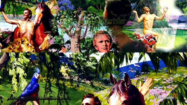 ¿Cuáles fueron las leyes dadas a Adán? VC5-E5-E