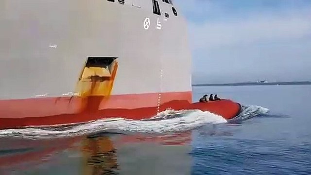 3 otaries sont installées sur le flotteur avant de ce navire !