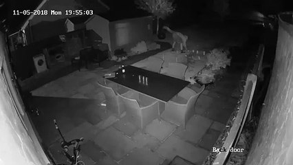 Panique ! Son feu d'artifice part dans tous les sens dans son jardin !