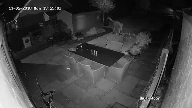 Panique ! Son feu d'artifice part dans tous les sens dans son jardin !