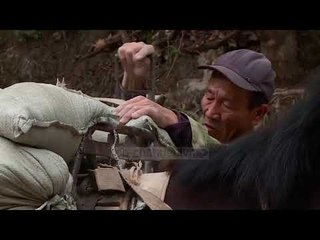 Muri i Madh Kinez në prag rrënimi