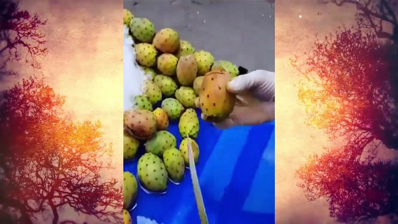 ‫عودة السيد كرموس