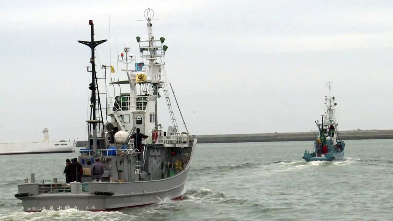 Japan jagt wieder Wale