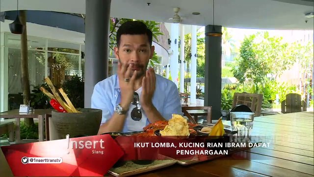 Insert- Kucing Rian Ibram Menang Lomba International Cat Show