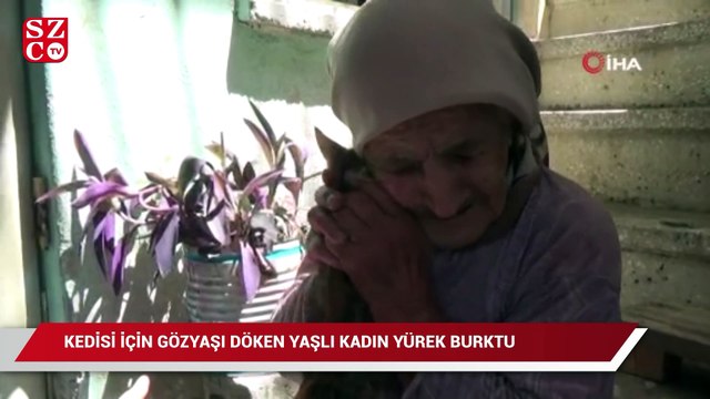 Kedisi için gözyaşı döken yaşlı kadın yürek burktu