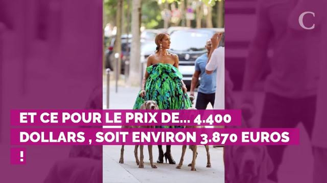 PHOTOS. Céline Dion au top ! La semaine hyper fashion de la st...