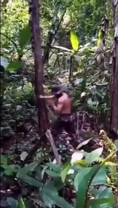 Un homme découpe des arbres à coup de poing...