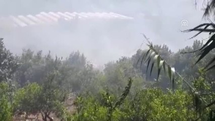 Silifke'de orman yangını