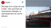 Blocage d’un cargo de soja : les activistes de Greenpeace délogés par le personnel du port de Sète