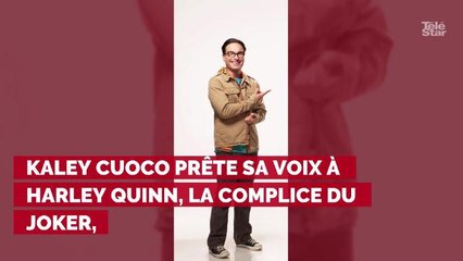 The Big Bang Theory : voici les projets des des acteurs après...