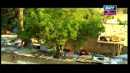 Mehmoodabad Ki Malkain Episode 92 & 93 - 1st July 2019