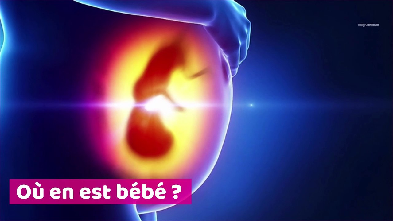 10 semaines de grossesse