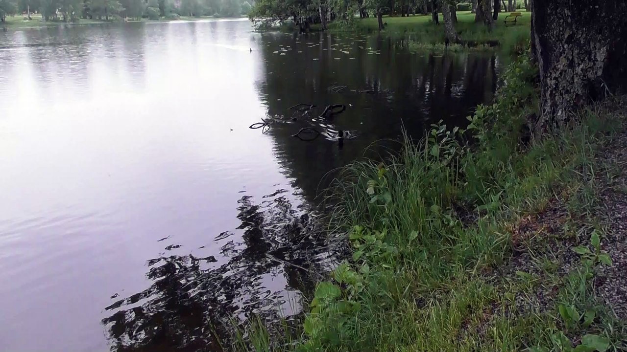 June 13 2019 F2