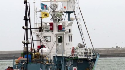 اليابان تستأنف صيد الحيتان بعد توقف ثلاثة عقود