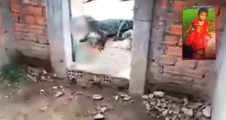 Komboçya'da 2 yaşındaki kız çocuğu timsahlara yem oldu