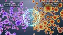 Biotech Video  Pharmaceutical Technologies Video |  Medical Animations Video  Equisolve