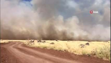 Mahalleliler yangını söndürmek için seferber oldu