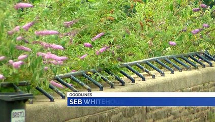 GOODLINES: 2nd July 2019