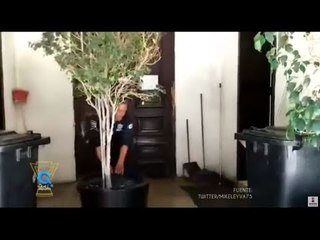 Técnica policial de la KGTIE para asegurar las puertas | Qué Importa