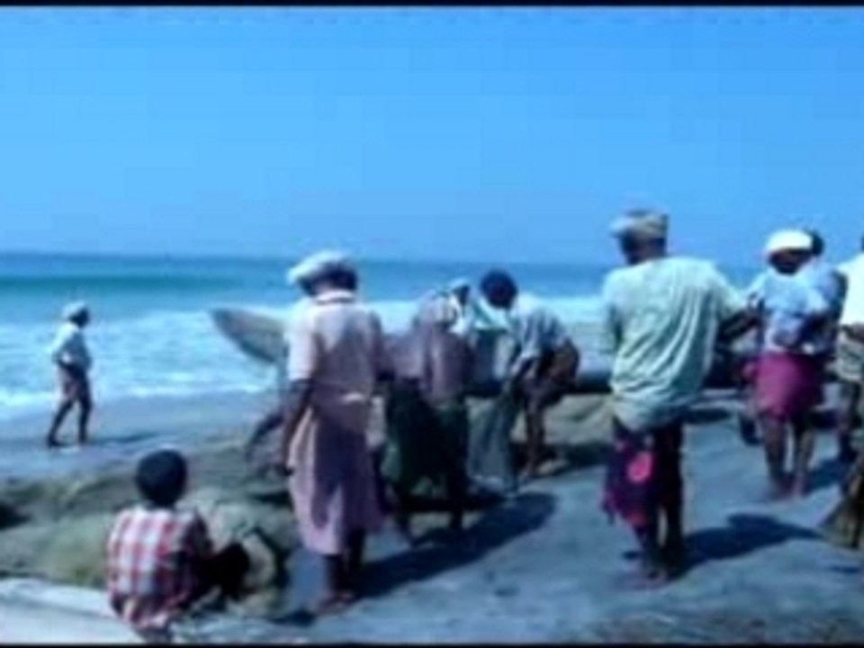 Partage de la pêche